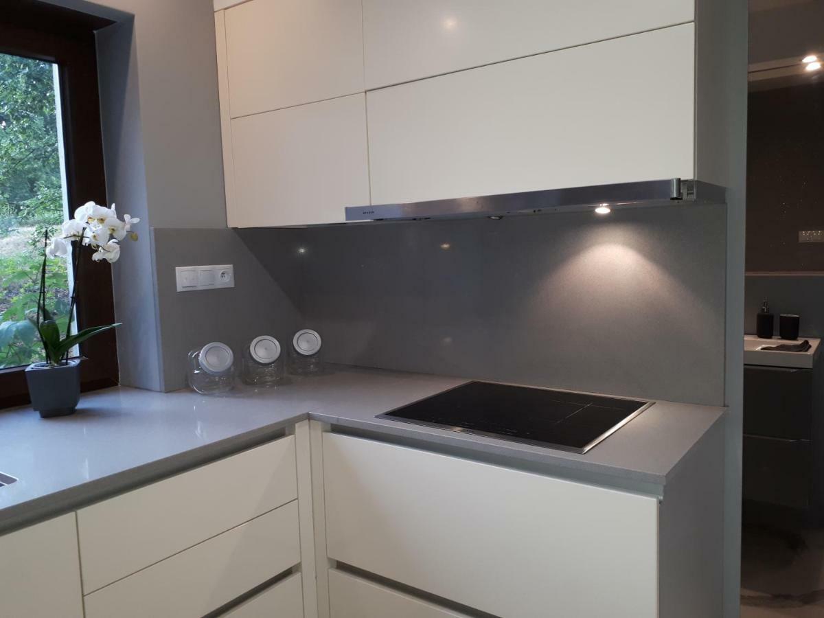 Apartamenty Centrum- Kochanowskiego -Dawniej Two-Bedroom Apartment Zielona Góra Dış mekan fotoğraf